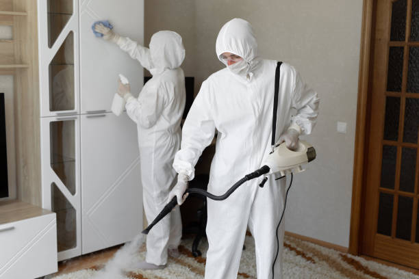 Office Mold Removal Services in Round Lake Beach, IL