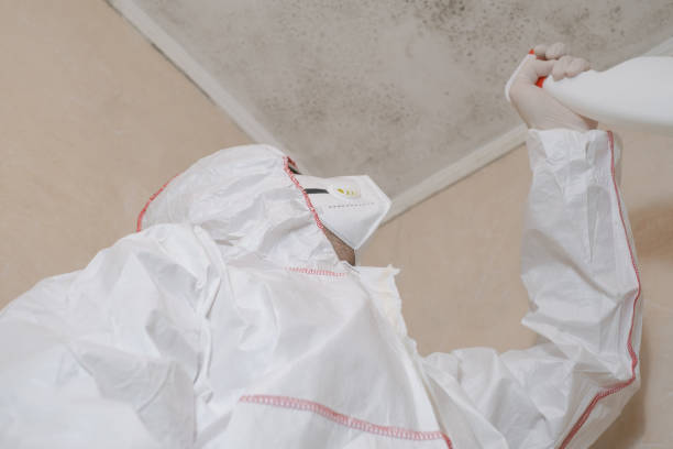 Best Mold Testing  in Round Lake Beach, IL